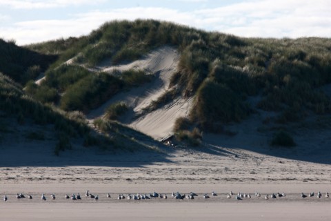 Quend, Somme