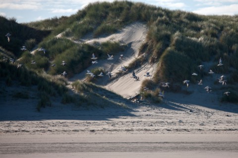 Quend, Somme