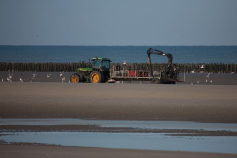 Quend, Somme