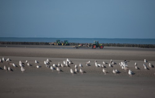 Quend, Somme