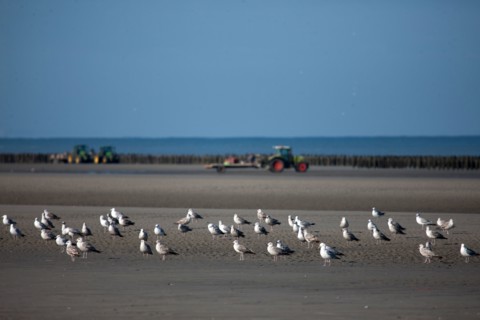 Quend, Somme