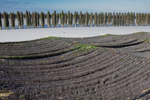 Quend, Somme