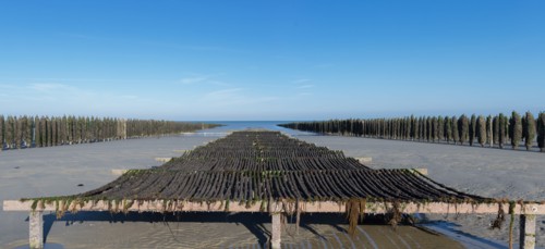 Quend, Somme