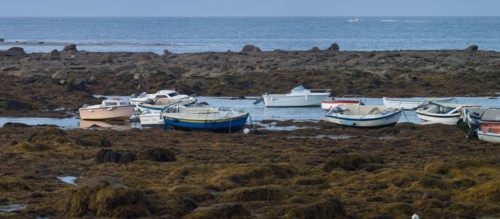 Pointe de Penmarc'h, Finistère Sud