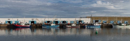 Port de Saint-Guénolé, Finistère Sud