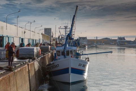 Port de Saint-Guénolé, Finistère Sud