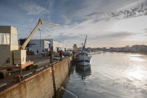 Port de Saint-Guénolé, Finistère Sud