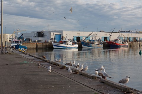 Port de Saint-Guénolé, Finistère Sud