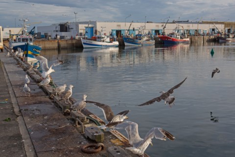 Port de Saint-Guénolé, Finistère Sud