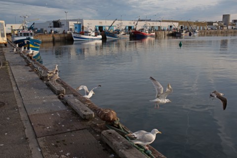 Port de Saint-Guénolé, Finistère Sud