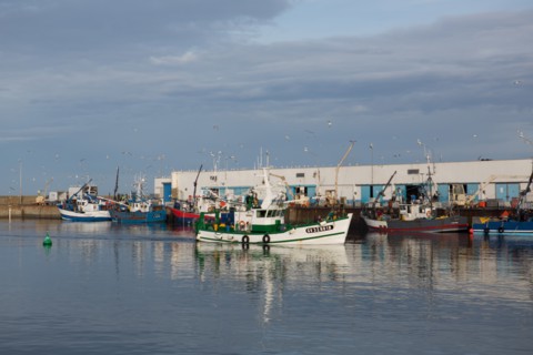 Port de Saint-Guénolé, Finistère Sud
