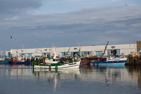 Port de Saint-Guénolé, Finistère Sud