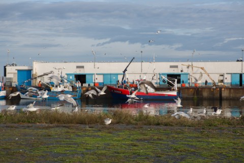Port de Saint-Guénolé, Finistère Sud
