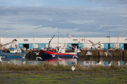 Port de Saint-Guénolé, Finistère Sud