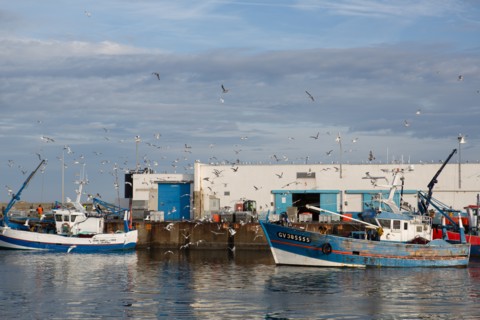 Port de Saint-Guénolé, Finistère Sud