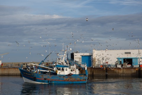 Port de Saint-Guénolé, Finistère Sud