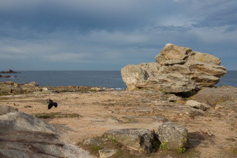 Rochers de Saint-Guénolé, Finistère Sud