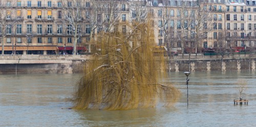 Paris sous la neige, février 2018