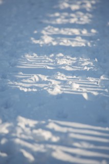 Paris sous la neige, février 2018