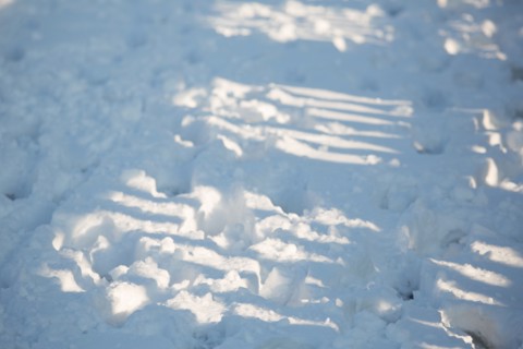 Paris under the snow, February 2018