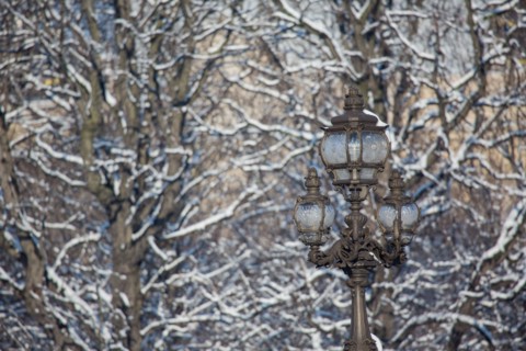 Paris sous la neige, février 2018