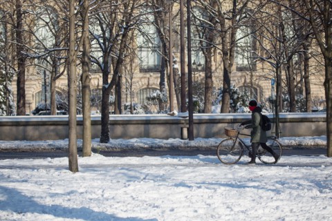 Paris under the snow, February 2018
