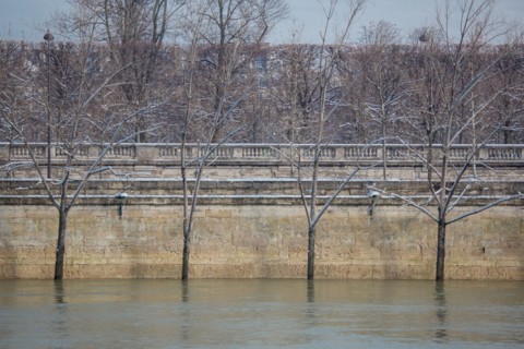 Paris under the snow, February 2018