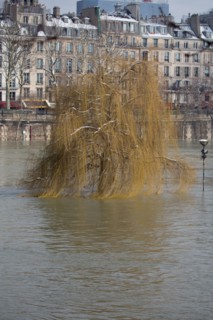 Paris sous la neige, février 2018