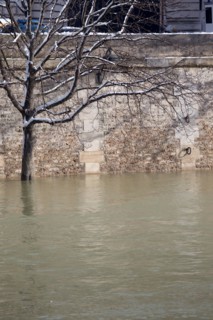 Paris under the snow, February 2018