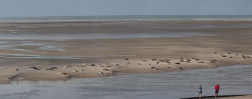 Baie d'Authie (Pas-de-Calais, France)