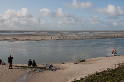Baie d'Authie (Pas-de-Calais, France)