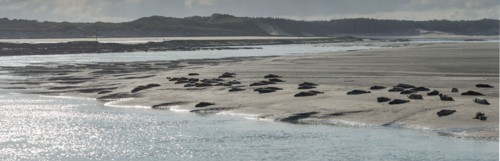 Baie d'Authie (Pas-de-Calais, France)