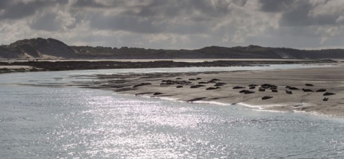 Baie d'Authie (Pas-de-Calais, France)
