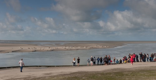 Baie d'Authie (Pas-de-Calais, France)