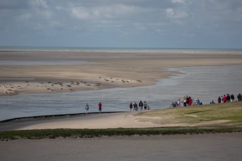 Baie d'Authie (Pas-de-Calais, France)