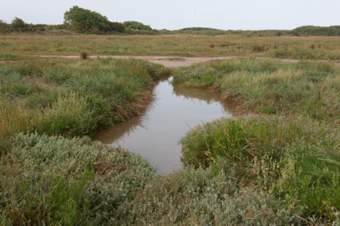 Baie d'Authie (Pas-de-Calais, France)