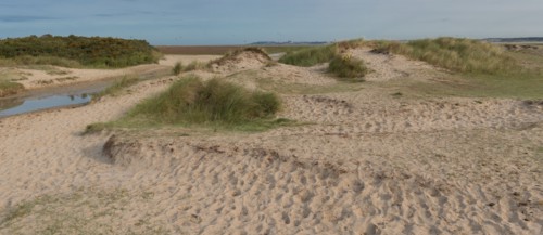 Baie d'Authie (Pas-de-Calais, France)
