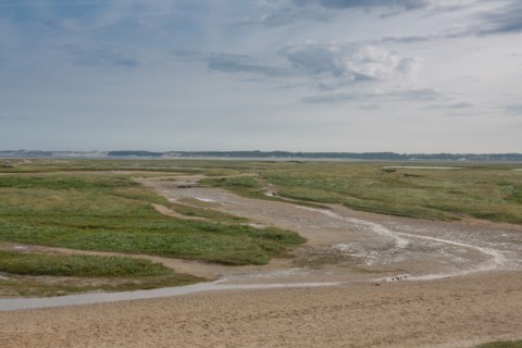 Baie d'Authie (Pas-de-Calais, France)