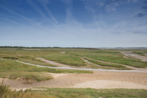 Baie d'Authie (Pas-de-Calais, France)