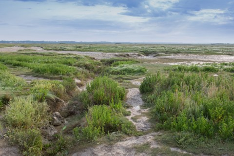 Baie d'Authie (Pas-de-Calais, France)