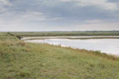 Baie d'Authie (Pas-de-Calais, France)