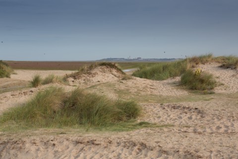 Baie d'Authie (Pas-de-Calais, France)