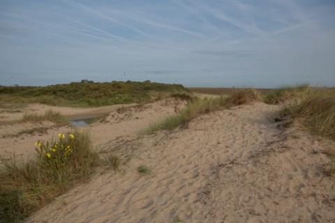 Baie d'Authie (Pas-de-Calais, France)