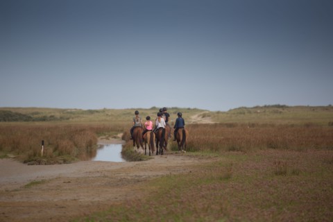 Baie d'Authie (Pas-de-Calais, France)