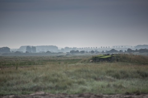 Baie d'Authie (Pas-de-Calais, France)