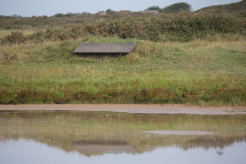 Baie d'Authie (Pas-de-Calais, France)