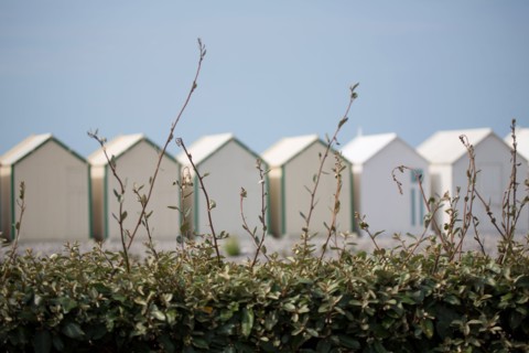 Cayeux-Sur-Mer (Baie de Somme, France), cabines de plage
