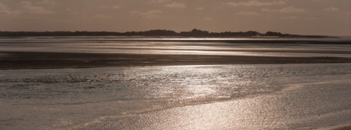Le Crotoy (Baie de Somme, France)