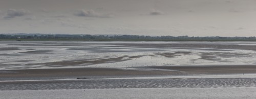 Le Crotoy (Baie de Somme, France)