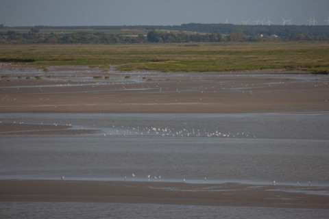 Le Crotoy (Baie de Somme, France)
